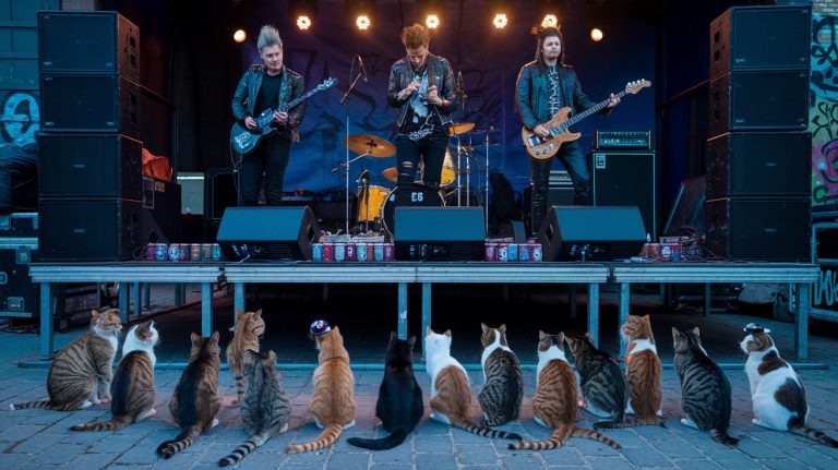 Las 5 mejores backing bands según… Víctor Salas